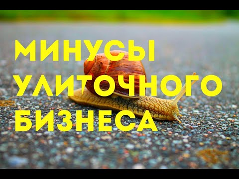 Видео: Минусы улиточного бизнеса | улиточная ферма | Xellix Aspersa Muller | Maxima | Португалия | Равлик |