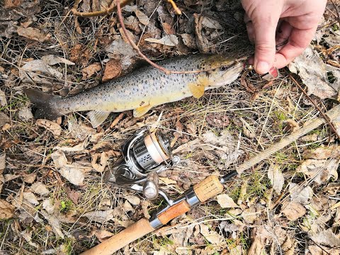 Видео: Забытые реки #1 Форель в Татарии