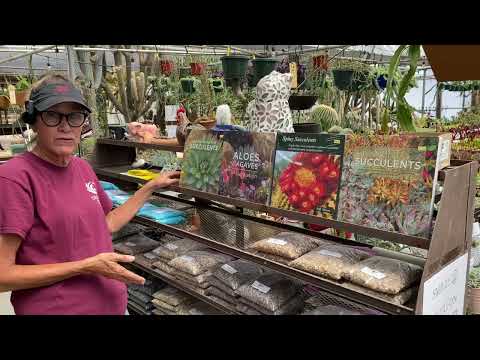 Видео: Удивительный и великолепный сад образцов и питомник Пута в зоне 9b