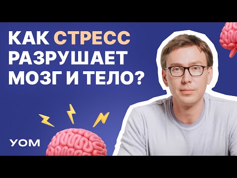 Видео: Мозг и стресс: влияние на здоровье и качество жизни. Хронический стресс. Андрей Гострый