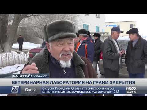 Видео: Ветеринарная лаборатория в селе Маканчи оказалась на грани закрытия