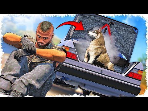 Видео: Рексті енді көрмейміз ба??? 😭 (GTA V)