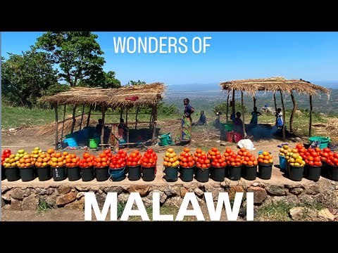 Видео: Бедные, НО не настолько бедные, как вы могли подумать. Посетите Малави в 2025 году 🇲🇼