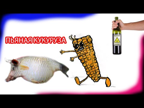 Видео: Пьяная кукуруза от А до Я. 🔥🔥🔥 Кружит голову рыбе. ❗❗❗   Ошибки   ❗❗❗