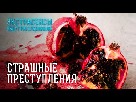 Видео: Они оказались в опасности из-за потусторонней силы – Экстрасенсы ведут расследование