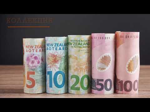 Видео: Самая Большая Коллекция Полимерных Банкнот на YouTube! The Biggest Collection of Polymer Banknotes!