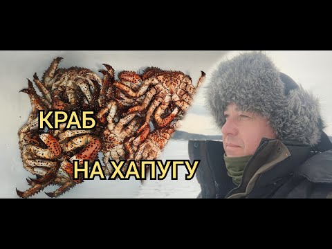 Видео: Поставил пять ХАПУГ и охренел. Вот это КРАБалка.
