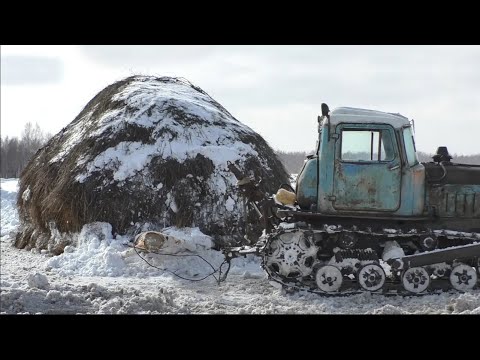 Видео: Трактор ДТ-75 против огромного стога сена.