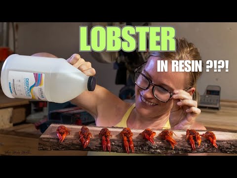 Видео: Залить малька омара СМОЛОЙ?!?