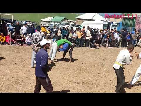 Видео: Гуштини Милли дар Д Разиён Н Дангара