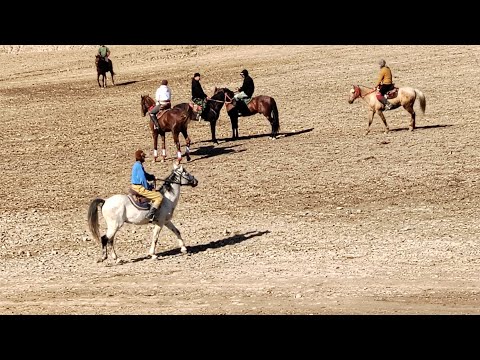 Видео: Бузкаши Хамадони 25.01.2025