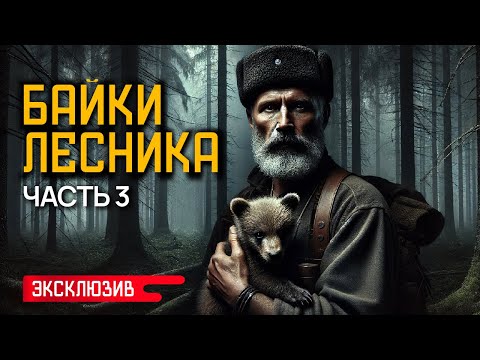 Видео: БАЙКИ ЛЕСНИКА (ЧАСТЬ 3) - Лесные и Деревенские Истории На Ночь