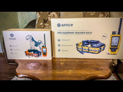 Видео: Новая версия GPS-ошейника ARTELV TRACKER 2W | Обзор и сравнение с предыдущей моделью