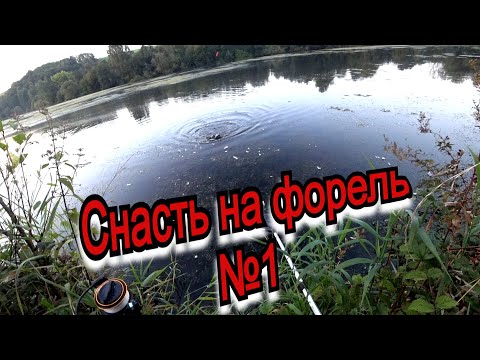 Видео: Как ловить форель на пасту. Бешенный клев форели. Ловля форели на озере.