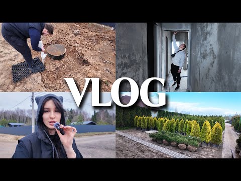 Видео: РЕМОНТНЫЙ VLOG // КУПИЛИ УЧАСТОК / ПОЯВИЛИСЬ СТЕНЫ В КВАРТИРЕ / ДАЧНЫЙ ШОПИНГ В ПИТОМНИКЕ РАСТЕНИЙ