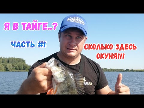 Видео: ЛОВЛЯ НА МИКРОДЖИГ,,,ПОКЛЕВКА ЗА ПОКЛЕВКОЙ!!!,,,НДНД или СК