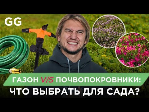 Видео: Газон или почвопокровники? Новый взгляд на ландшафтный дизайн участка!