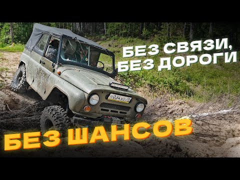 Видео: Ищем дом в глухой Тайге. Одни на старом Уазе через бездорожье. #продороги
