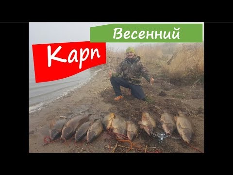 Видео: Ловля карпа весной от 2 до 13.5 кг. Рыбалка в Канаде. День первый. Last Mountain Lake