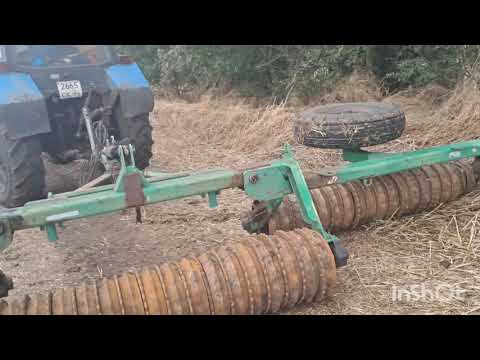 Видео: 10 сентября 2025 г.