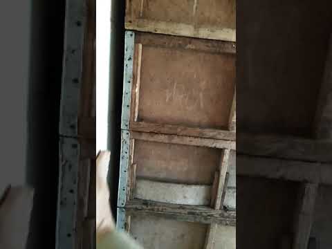 Видео: павильон Миленина