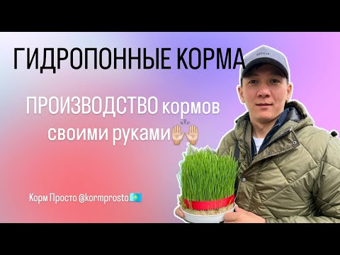 Видео: 5 лет в запуске гидропонных ферм - научим Вас с самого нуля!