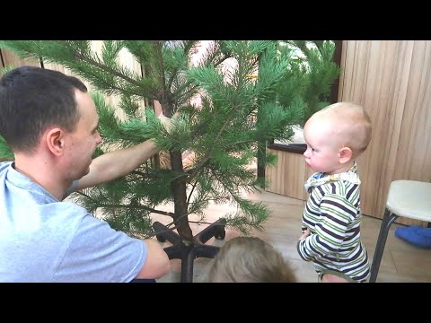 Видео: vlog 🌲 КУПИЛИ ЕЛКУ // Расхламляем КУХНЮ // наша традиция КАЖДЫЙ НОВЫЙ ГОД..