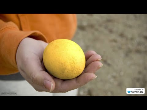 Видео: Фамилия Ассоль: происхождение, значение и история, а также склонение фамилии на русском языке