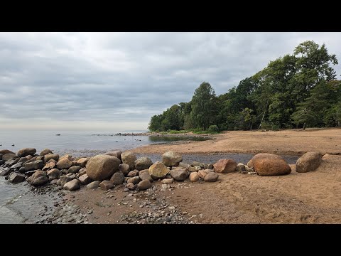 Видео: Берег Финского залива 💙 Балтийское море