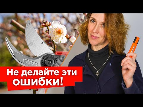 Видео: 3 ГЛАВНЫХ ПРАВИЛА ОБРЕЗКИ ПЛОДОВЫХ! Следуйте им и всегда будете с урожаем