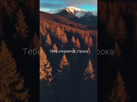 Видео: "Моя любовь уходит в небо"