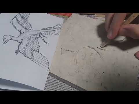 Видео: Скульптура (1-е классы) - Лепка фигуры птицы в рельефе (часть 1)