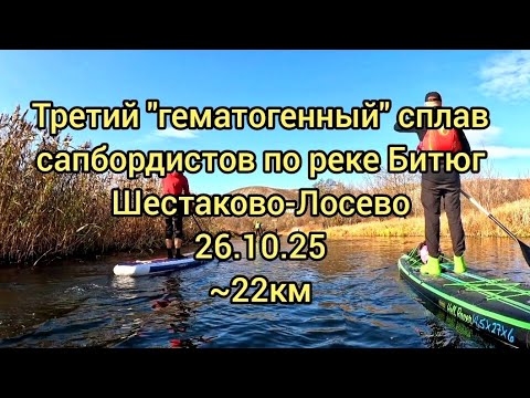 Видео: Третий "гематогенный" совместный сплав по реке Битюг на сапбордах. Шестаково - Лосево. 26.10.25