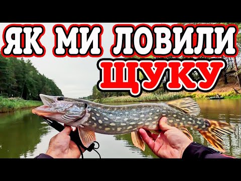 Видео: 🍁 ЩУКА. ОСІНЬ. ВСЕ ТІЛЬКИ ПОЧИНАЄТЬСЯ 🍁