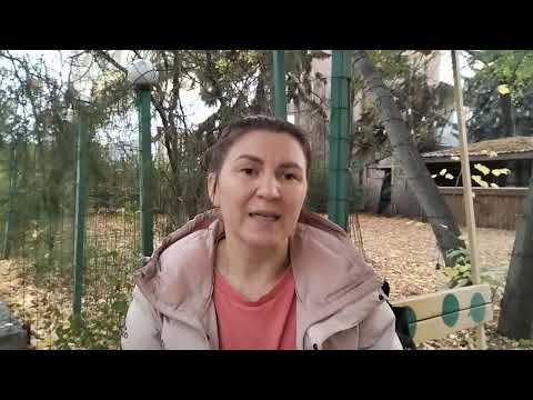 Видео: Эмоции: ВЫНУЖДЕНИЕ 