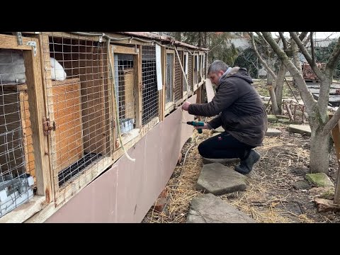 Видео: Відпочиваємо разом із кроликами