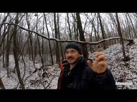 Видео: Охота на борсука.Потеря зубов у охотничьих собак.и змеи в норах.