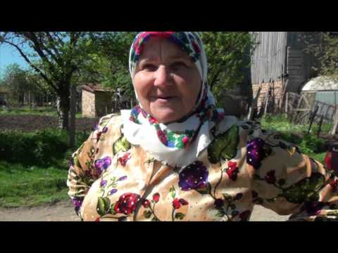 Видео: Лозница 1