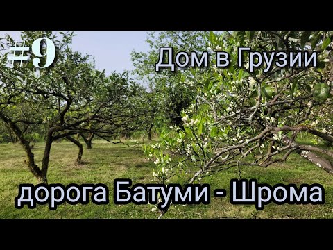 Видео: #9 Дом в Грузии. Дорога Батуми - Шрома