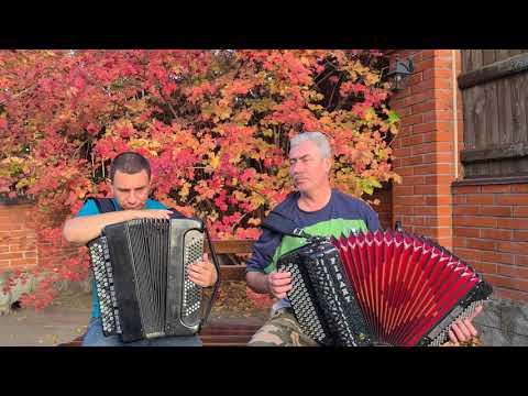 Видео: Лис и Жук на природе