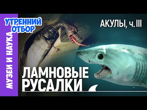 Видео: Акулы, ч.3: Загадочные монстры - хранители древних городов, русалки, гоблины, домовые и прочие акулы