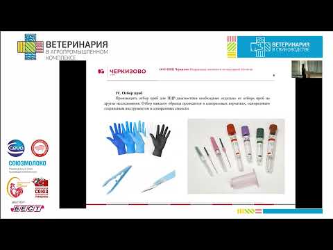 Видео: Шепелева О.А. Практическое руководство по отбору проб для ПЦР- и ИФА-исследований.