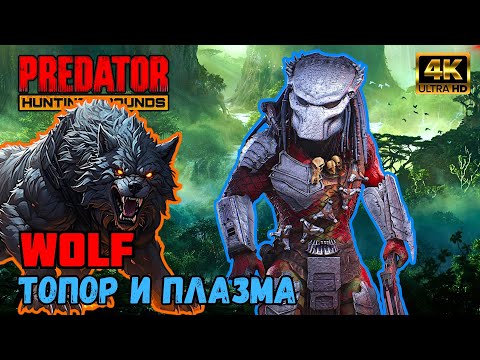 Видео: Predator Hunting Grounds ➤ WOLF Волк ➤ ОХОТА #182 #predator