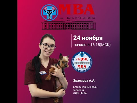 Видео: Герпес вирус кошек