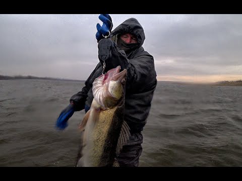 Видео: ВОТ ЗА ЭТИМИ ЗВЕРЮГАМИ МЫ И ОХОТИЛИСЬ!!Крупный судак на джиг! Рыбалка на Оби поздней осенью.