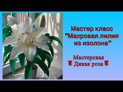 Видео: Махровая лилия из изолона с раскрытыми бутонами/ самый простой и быстрый способ /DIY