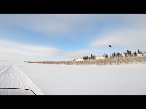 Видео: Рыбалка у чёрной дыры. Ловля налима. Серия семьдесят четвёртая.