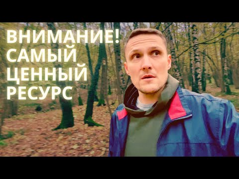 Видео: Внимание Творца - самый ценный ресурс