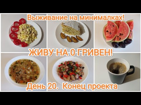 Видео: ЖИВУ НА 0 ГРИВЕН! День 20. Конец проекта.