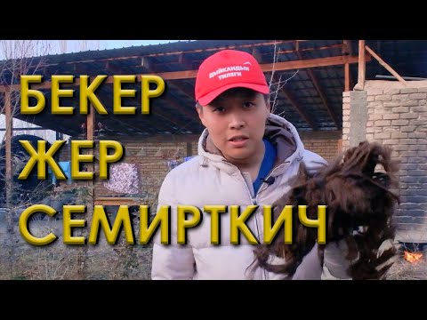 Видео: МЫНДАЙДЫ ЭЧКИМ БИЛГЕН ЭМЕС! Койдун жүнүн кантип колдонуу керек?